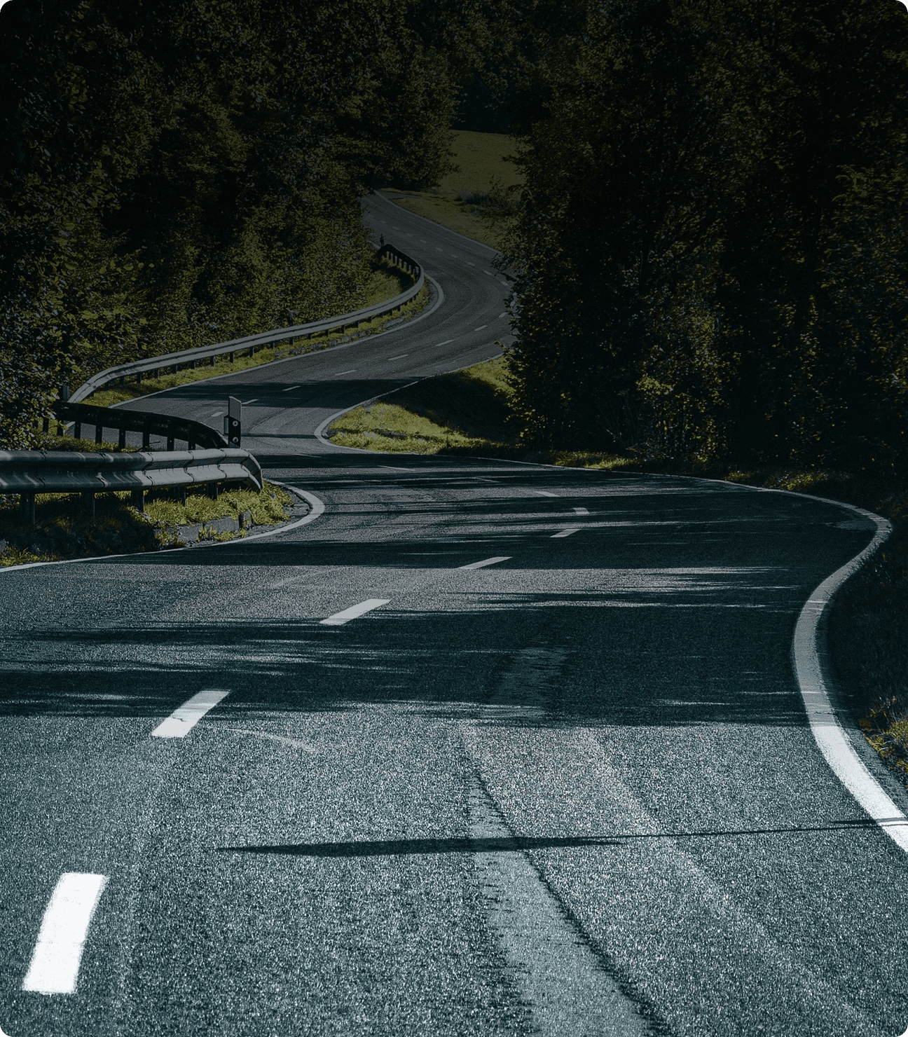 로드인 무브먼트